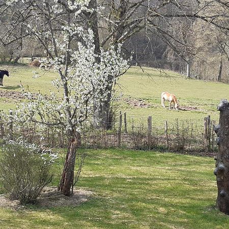 Maison Vintage Ardenne Awenne Luaran gambar